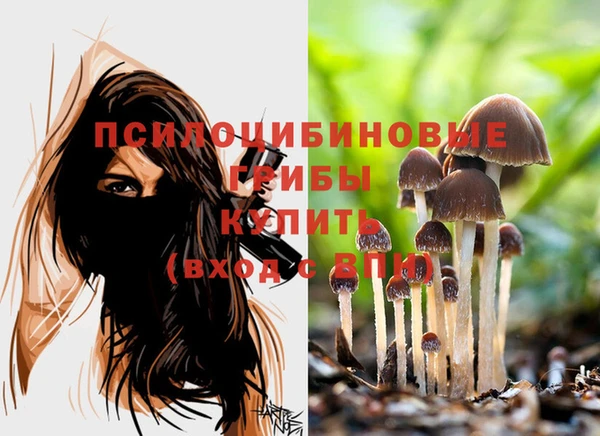дмт Верхний Тагил