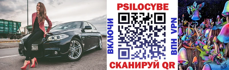 Псилоцибиновые грибы Psilocybine cubensis  Весьегонск 